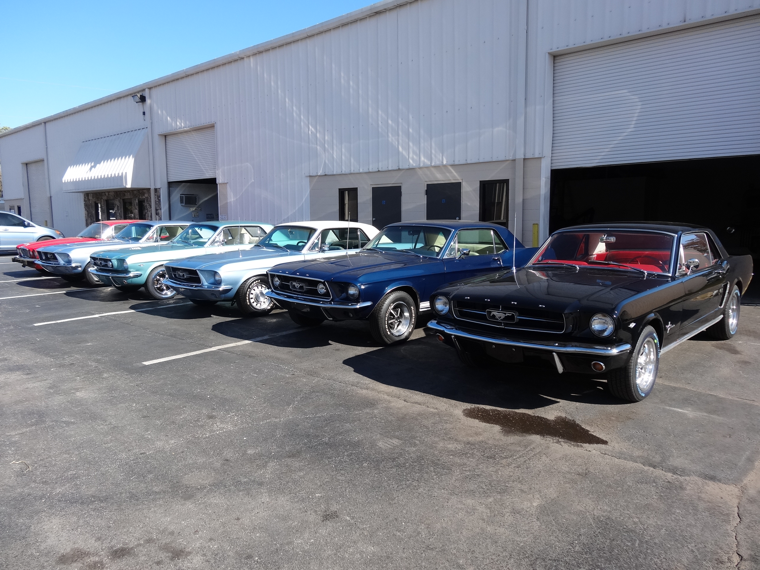 Classic Ford Mustangs at Florida Automobile Export